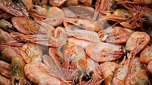 Pink fresh frozen shrimps with ice in a supermarket or fish shop. Uncooked seafood close up background. Fresh frozen
