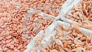 Pink fresh frozen shrimps with ice in a supermarket or fish shop. Uncooked seafood close up background. Fresh frozen prawns,