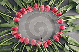 Pink Fresh Spring Tulips Botanical Art Floral Background Round Frame Wreath Wild Flowers Concept Woman`s day Greeting