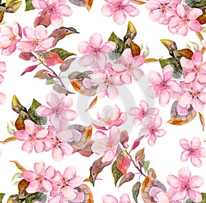 Pink fruit apple, cherry, sakura flowers. Seamless floral template. Aquarelle on white background