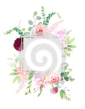 Pink garden roses, ranunculus, carnation, allium, dahlia flowers vector design frame