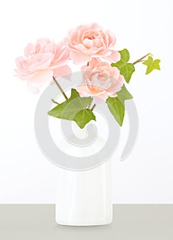 Pink garden roses in white vase