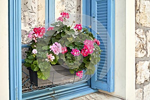 Pink geranium flowers on a windowsill in Nice, France