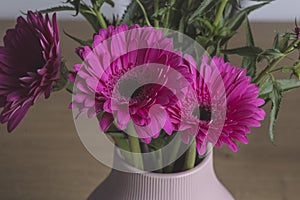 Pink gerber flowers bouquet on a decoration pot
