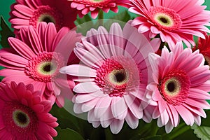 pink gerber flowers. Generative AI