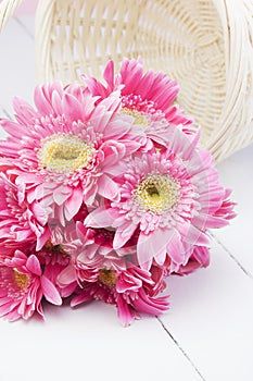 Pink gerbera in basket with pink background