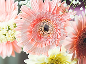 Pink gerbera daisy bouquet near a window