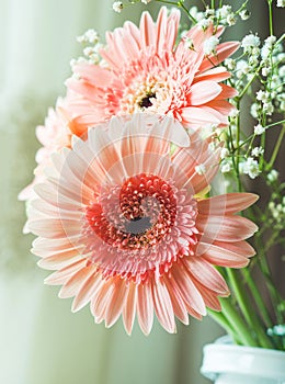 Pink gerbera daisy flowers bouquet