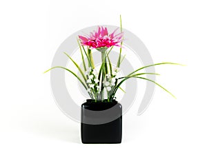 Pink gerbera flower in black vase.