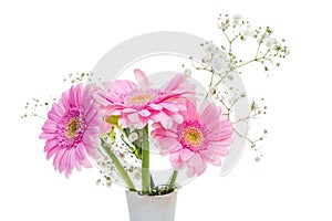 Pink gerbera flowers in a vase on white background