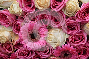 Pink gerbera and rose arrangement