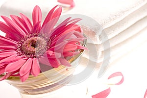 Pink gerbera and white towels