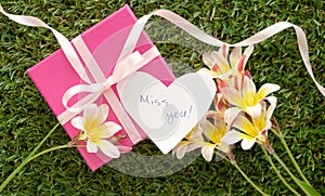 Pink gift box with a bow, `Miss you`