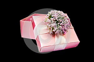 Pink gift box opened isolated