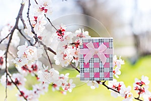 Pink gift box surrounded by flowering branches of spring trees
