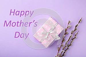 Pink gift box with willow twigs and gard on pastel purple background. Happy Mother`s Day, Women`s Day, Valentine`s Day or Birth