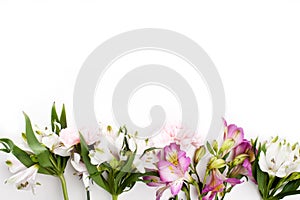 Pink gillyflowers with alstroemeria on white background