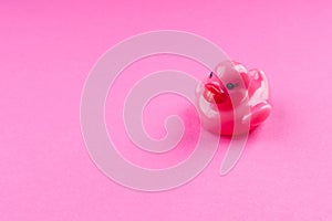 Pink glamour rubber duck on monochrome background