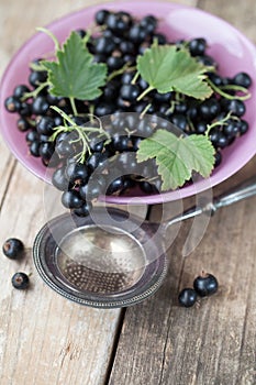 Pink glass bowl filled with fresh black currants and leaves