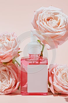 Pink glass cosmetic bottle with a dropper on a pink background among blooming rose flowers. Natural cosmetics concept