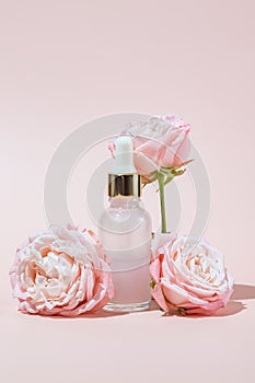 Pink glass cosmetic bottle with a dropper on a pink background with rose flowers in bloom. Natural cosmetics concept