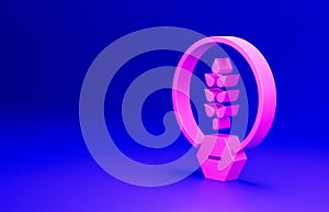 Pink Gluten free grain icon isolated on blue background. No wheat sign. Food intolerance symbols. Minimalism concept. 3D