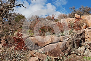 Pink granite boulders and autumn scrub in the West