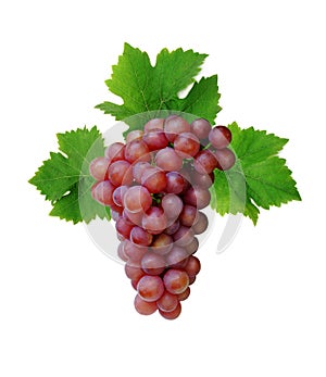 Pink grape cluster