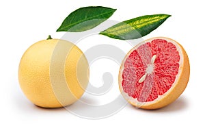 Pink grapefruit and parts isolated