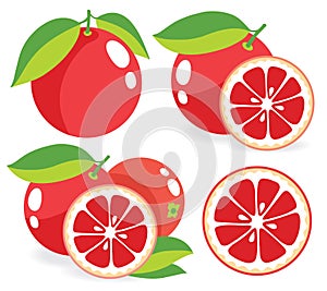 Růžový grapefruitů vektor ilustrace 