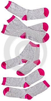 Pink and gray socks isolated on white background