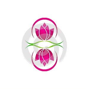 Pink and Green Duality Lotus