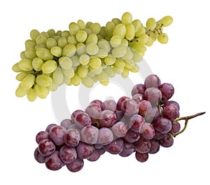 Pink and green grapes isolated on white background. Top view. Bunch of pink grape and green grapes Kishmish isolated on white back