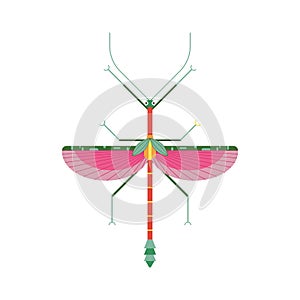 Stick Insect Icon in Geometric Flat Style photo