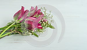 pink and green tulips and branches with white flowers on a white background