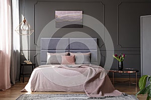 Pink and grey bedroom interior