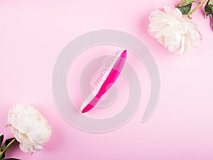 Pink hair brush in white peonies frame