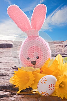 Bunny with easter egg