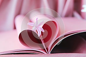 Pink heart from book pages, fresh flower, emotion of love