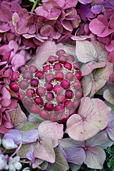 Pink Heart And Petal Still Life