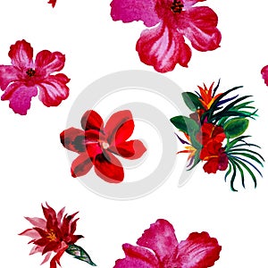 Pink Hibiscus Design. Red Watercolor Texture. Green Seamless Plant. Flower Illustration Pattern Texture. Tropical Garden. Summer P