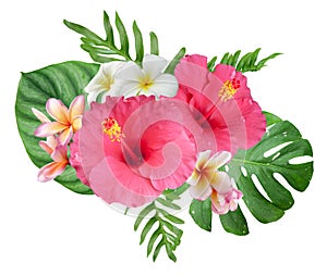 Pink Hibiscus flowers and monstera leaves in a tropical arrangement on white background