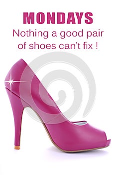 Pink High Heel Stiletto with Funny Saying photo