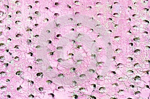 Pink holed wall surface