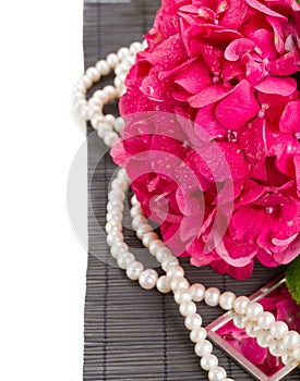 Pink hortensia flowers and pearls close up