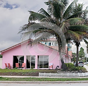 Pink House