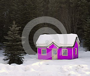 Pink House Buried in Snow