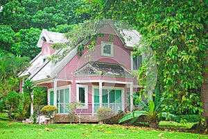 Pink house in forest