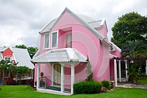 Pink house in forest