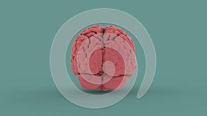 Pink human brain 3d image